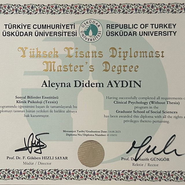 Resmi büyüt: certificate 1