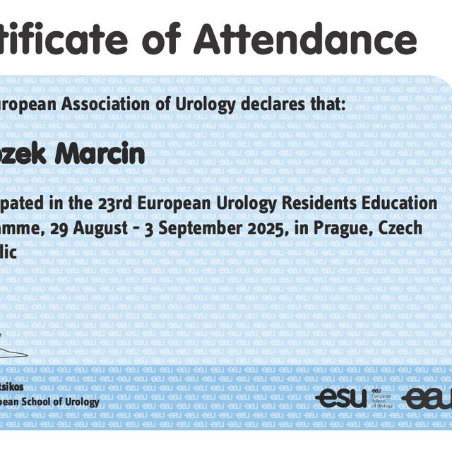 Powiększ obraz: certificate 3