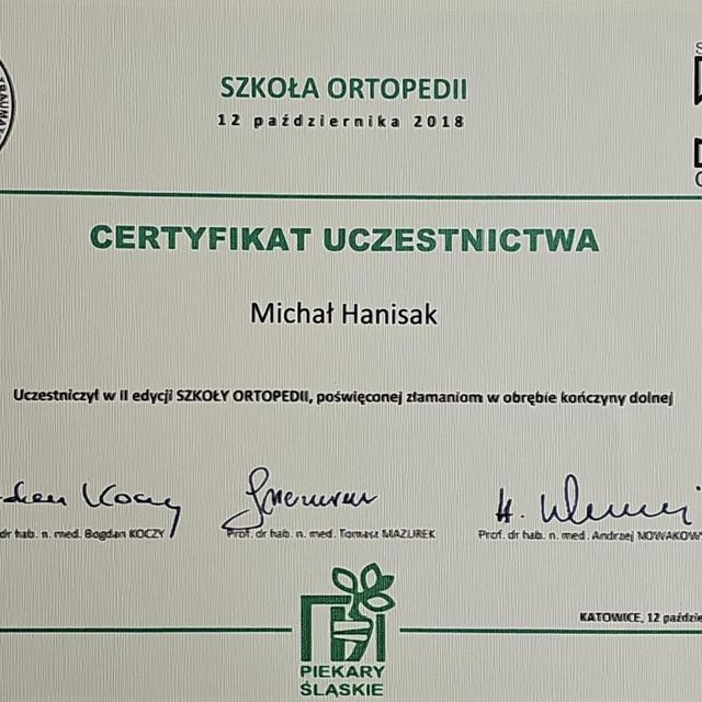 Powiększ obraz: certificate 8