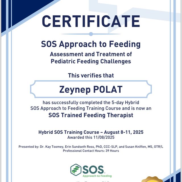 Resmi büyüt: certificate 1