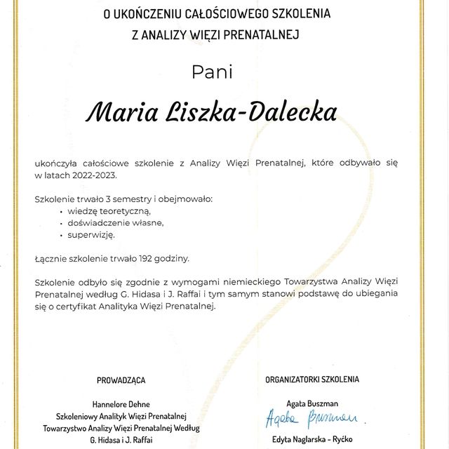 Powiększ obraz: certificate 3