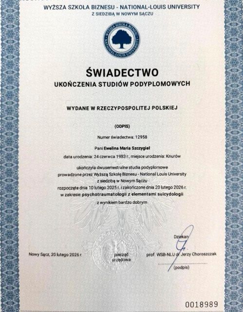 Powiększ obraz: certificate 1