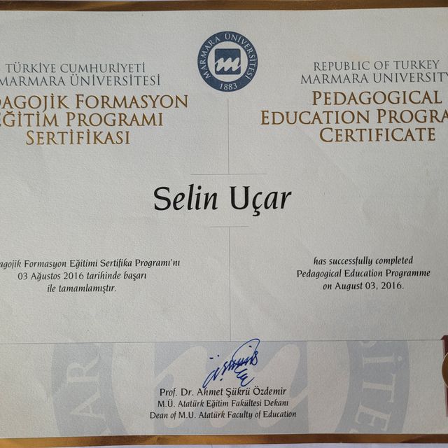 Resmi büyüt: certificate 6