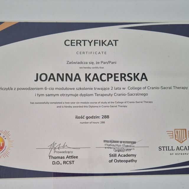 Powiększ obraz: certificate 2