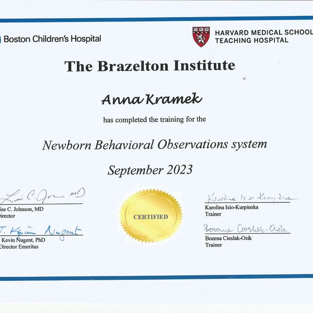 Powiększ obraz: certificate 7