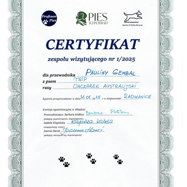 Powiększ obraz: certificate 5