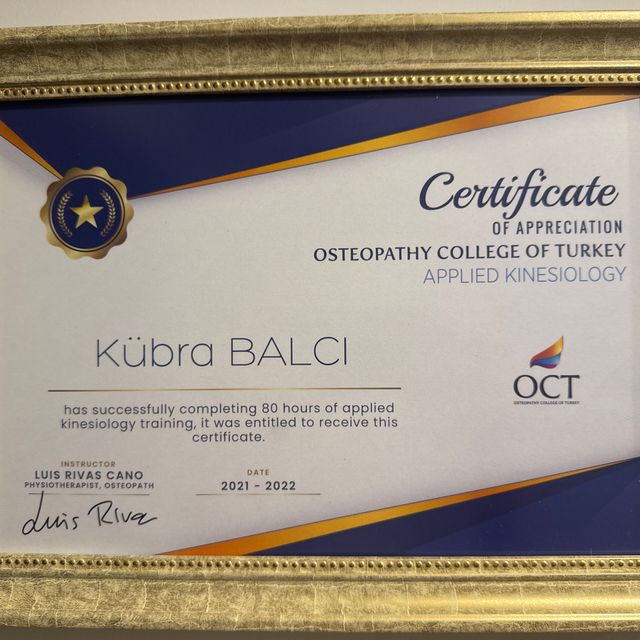 Resmi büyüt: certificate 3