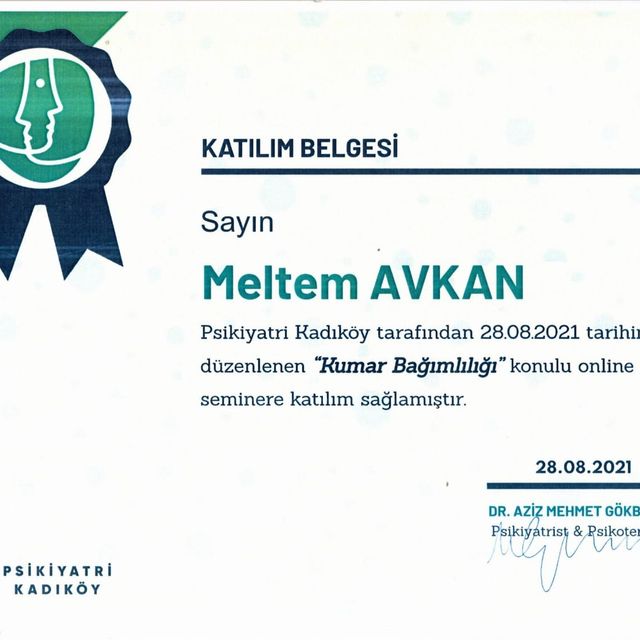 Resmi büyüt: certificate 1
