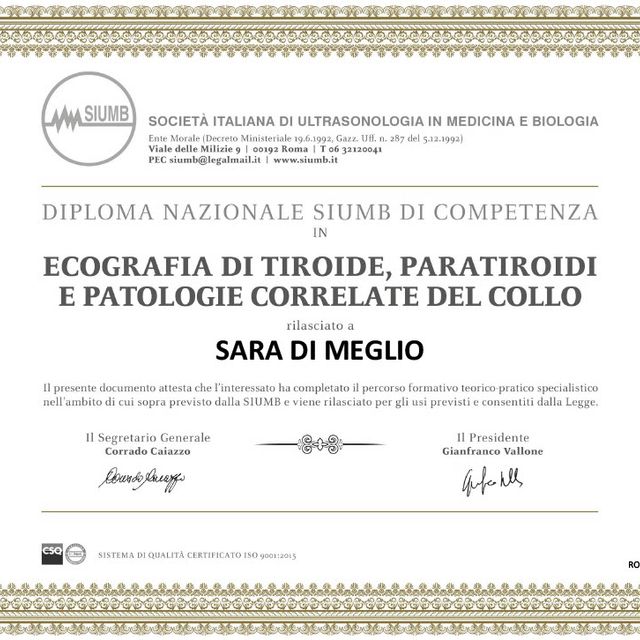 Ingrandire l'immagine: certificate 1