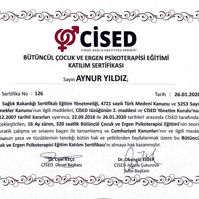 Resmi büyüt: certificate 9