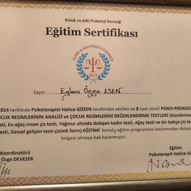 Resmi büyüt: certificate 6