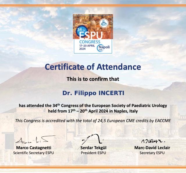 Ingrandire l'immagine: certificate 1