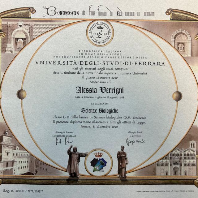 Ingrandire l'immagine: certificate 2