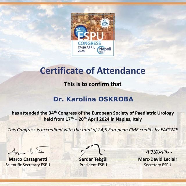 Powiększ obraz: certificate 3