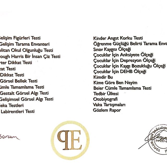 Resmi büyüt: certificate 15