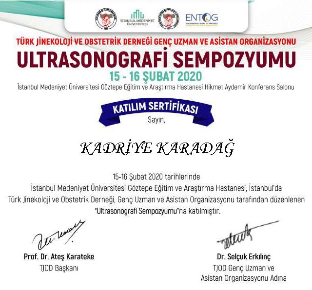 Resmi büyüt: certificate 22