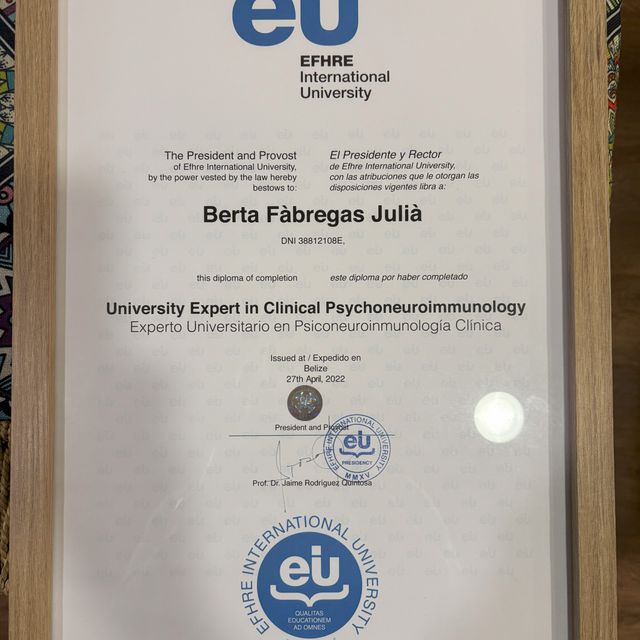 Acercar imagen: certificate 2