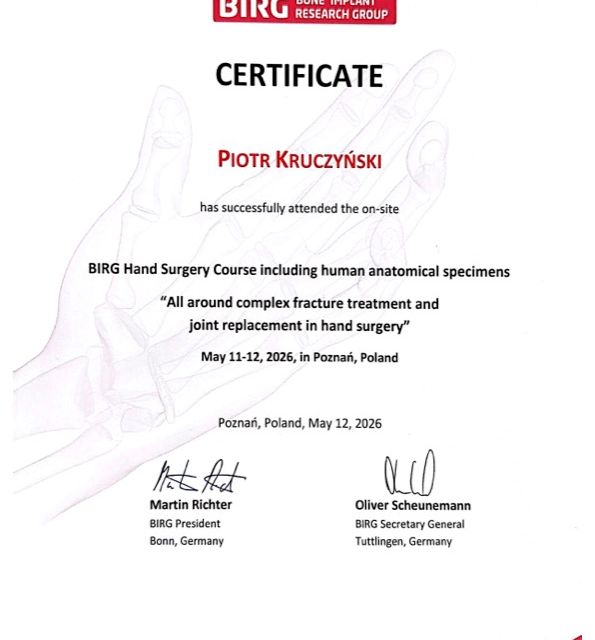 Powiększ obraz: certificate 1