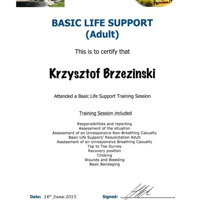 Powiększ obraz: certificate 6