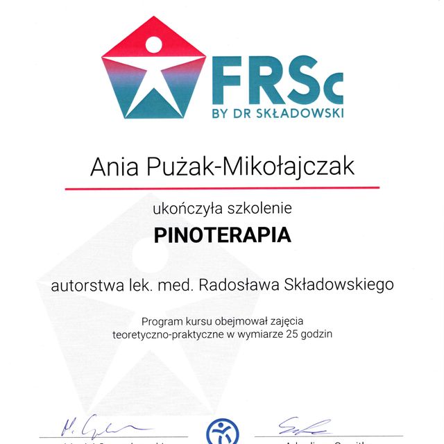 Powiększ obraz: certificate 4