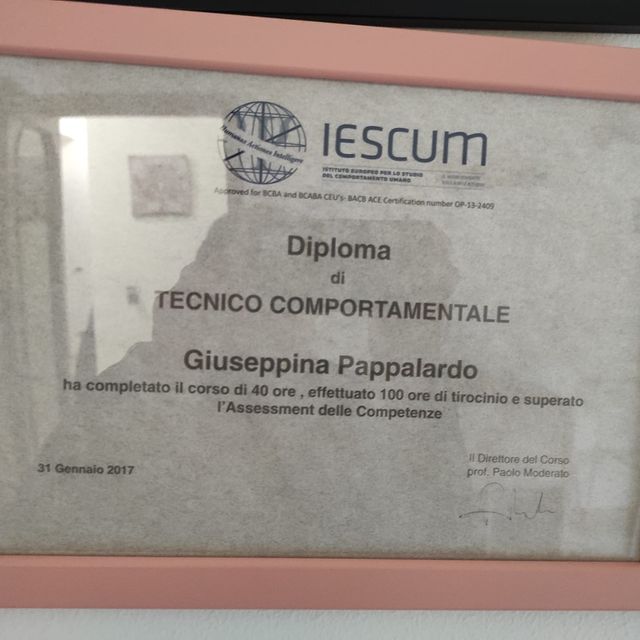 Ingrandire l'immagine: certificate 3