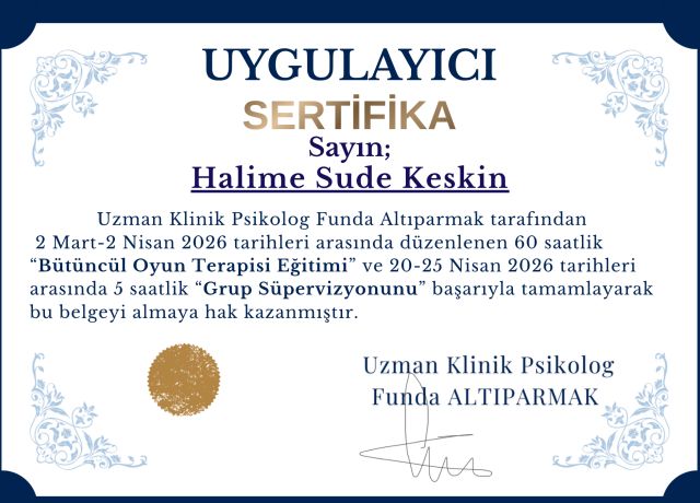 Resmi büyüt: certificate 2