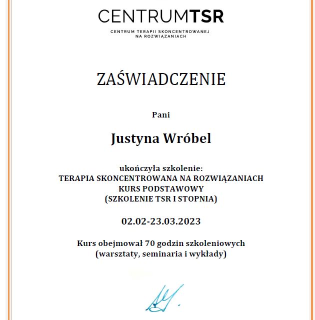 Powiększ obraz: certificate 1