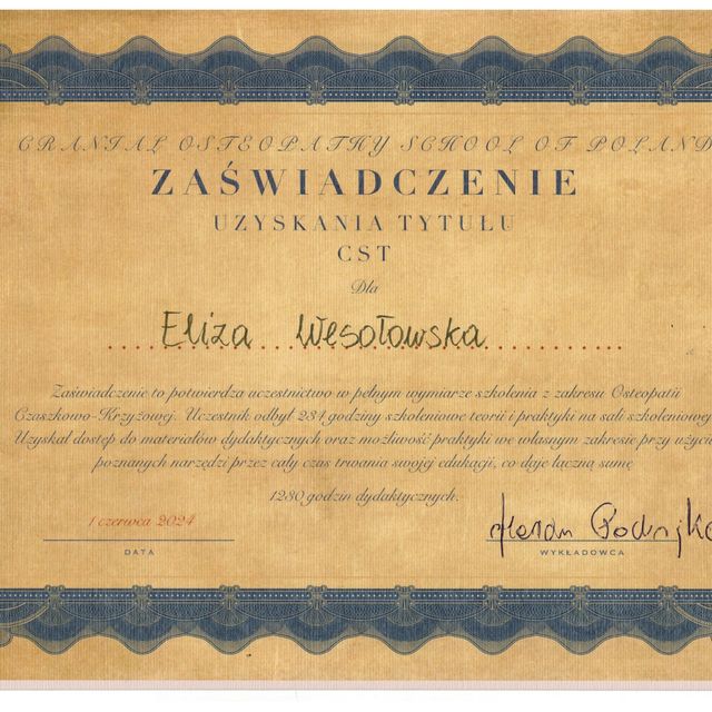 Powiększ obraz: certificate 9