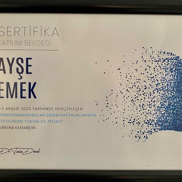 Resmi büyüt: certificate 4