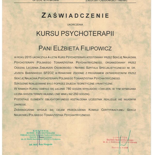 Powiększ obraz: certificate 1