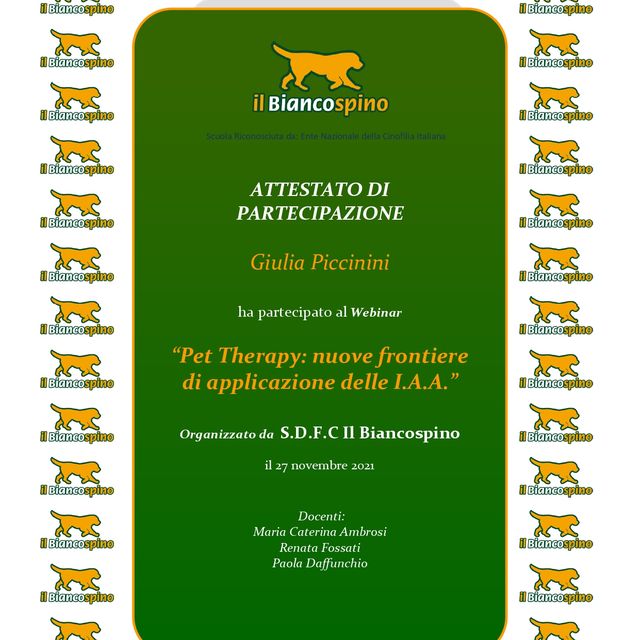 Ingrandire l'immagine: certificate 4