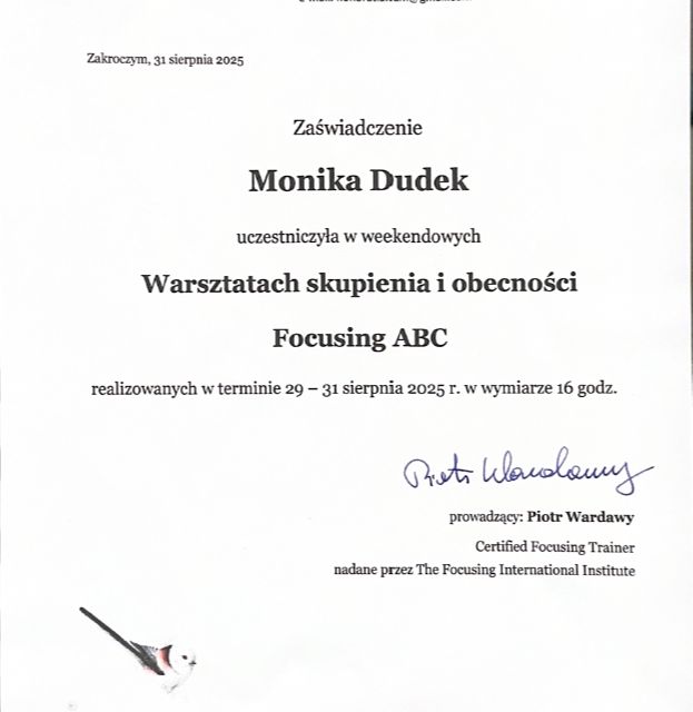 Powiększ obraz: certificate 1
