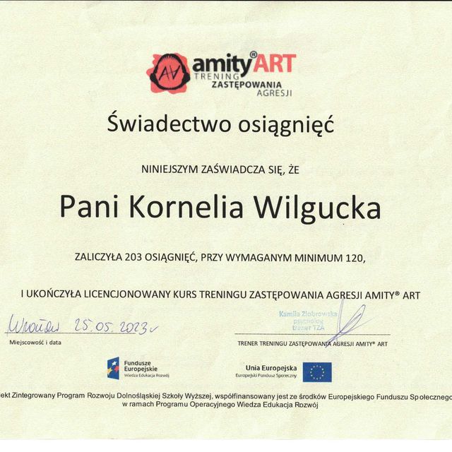 Powiększ obraz: certificate 2