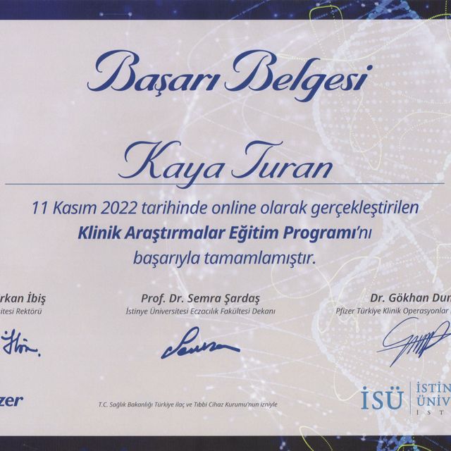 Resmi büyüt: certificate 6