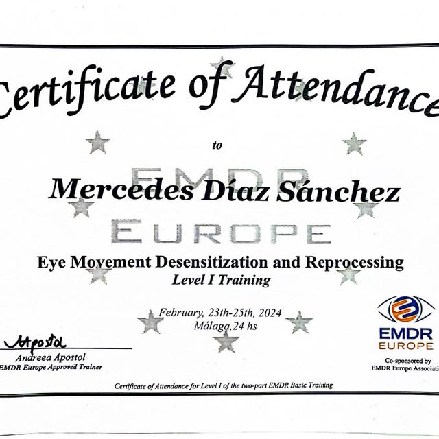 Acercar imagen: certificate 1