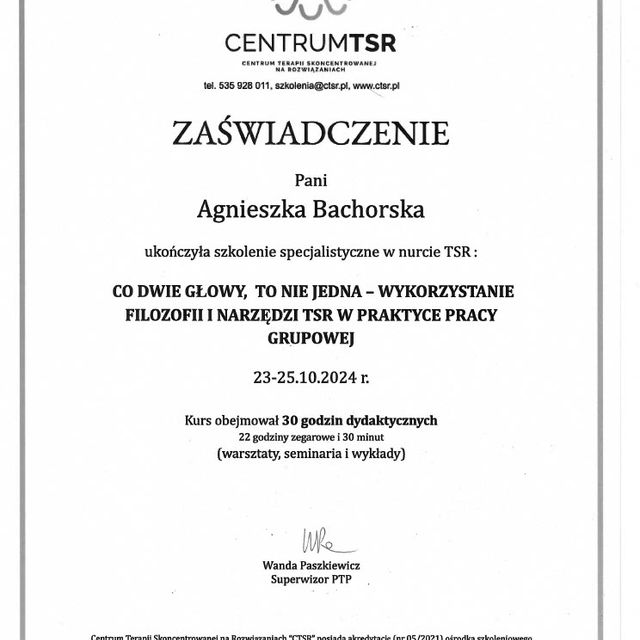 Powiększ obraz: certificate 2