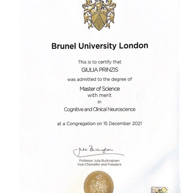 Ingrandire l'immagine: certificate 1