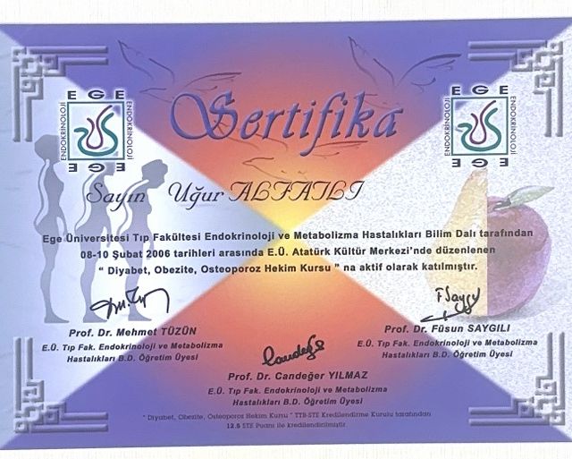 Resmi büyüt: certificate 25