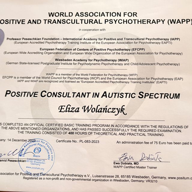 Powiększ obraz: certificate 3