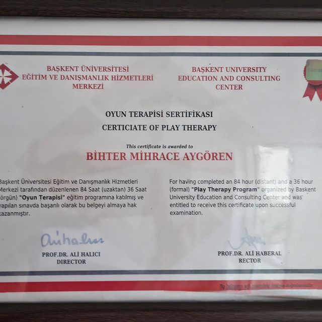 Resmi büyüt: certificate 2