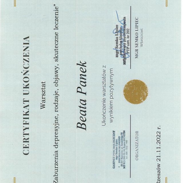 Powiększ obraz: certificate 8