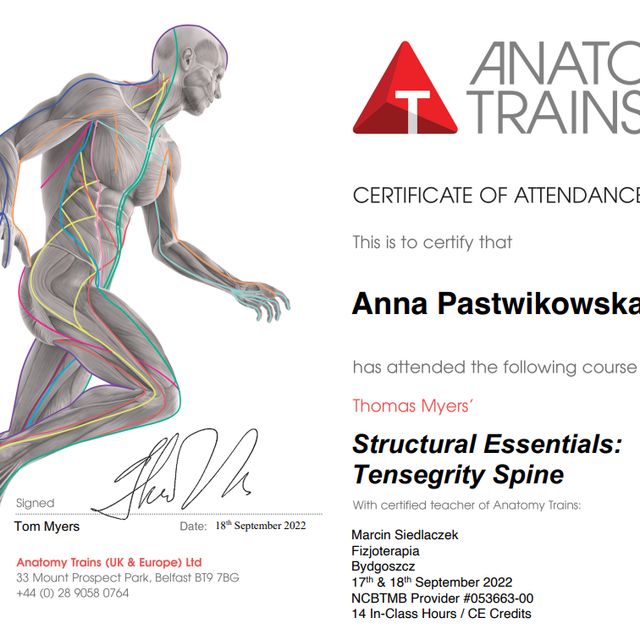 Powiększ obraz: certificate 8
