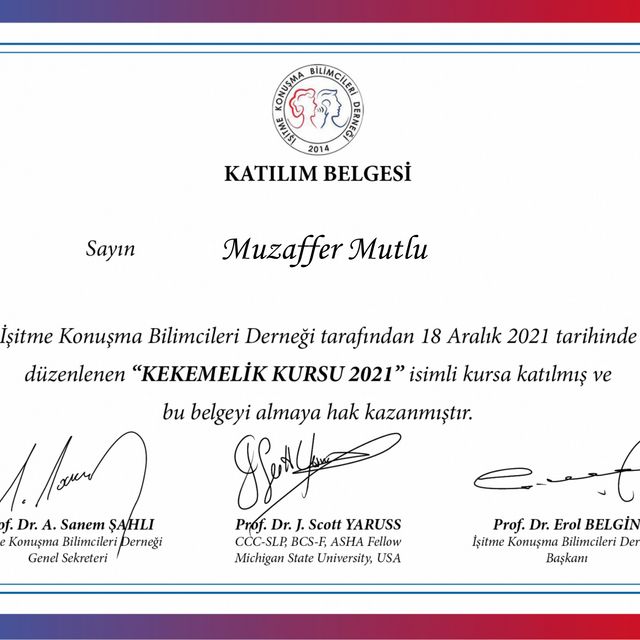 Resmi büyüt: certificate 12