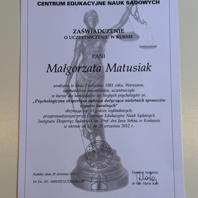 Powiększ obraz: certificate 3