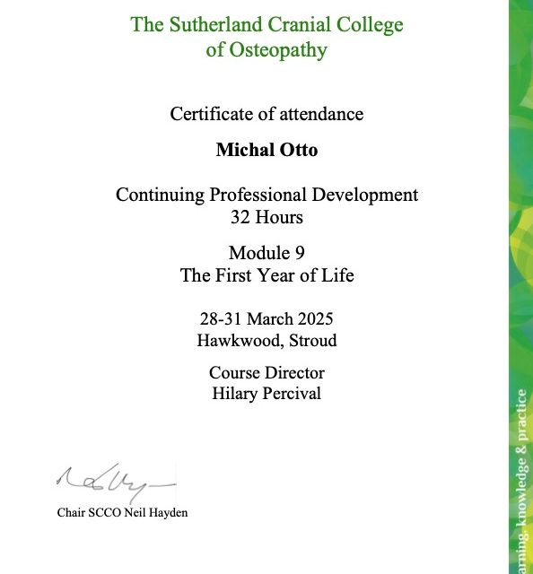 Powiększ obraz: certificate 11