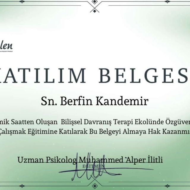 Resmi büyüt: certificate 14