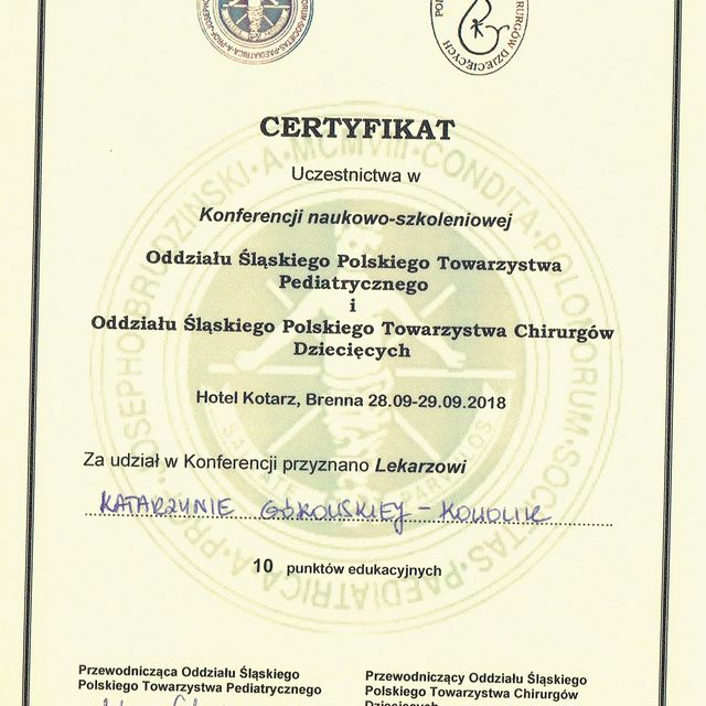 Powiększ obraz: certificate 29