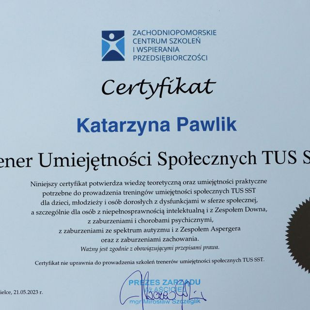 Powiększ obraz: certificate 3