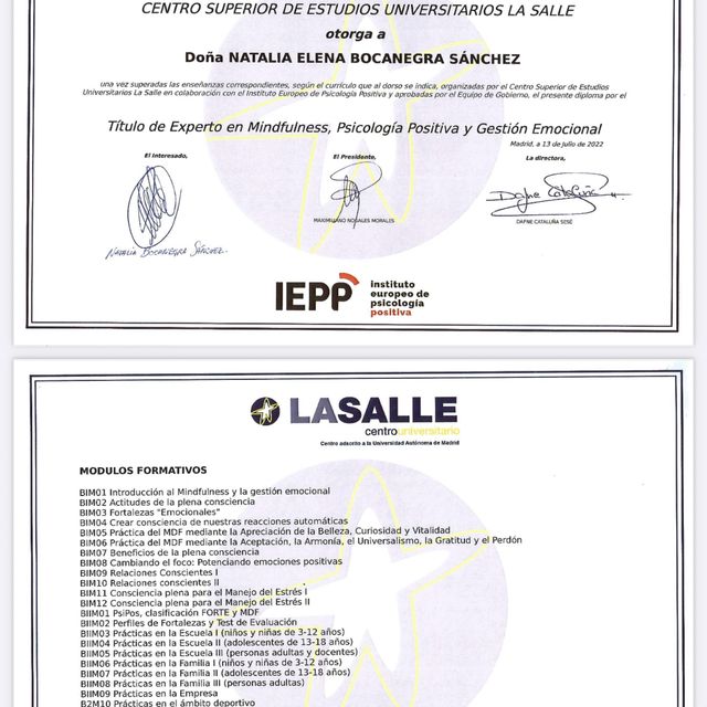 Acercar imagen: certificate 10