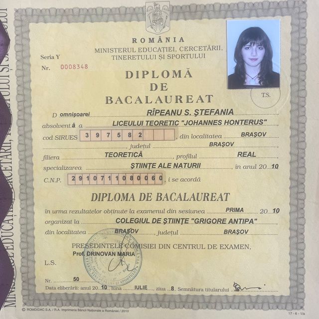 Acercar imagen: certificate 5